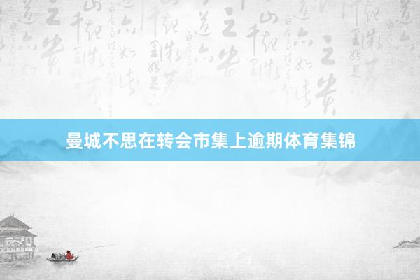 曼城不思在转会市集上逾期体育集锦