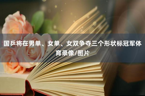 国乒将在男单、女单、女双争夺三个形状标冠军体育录像/图片