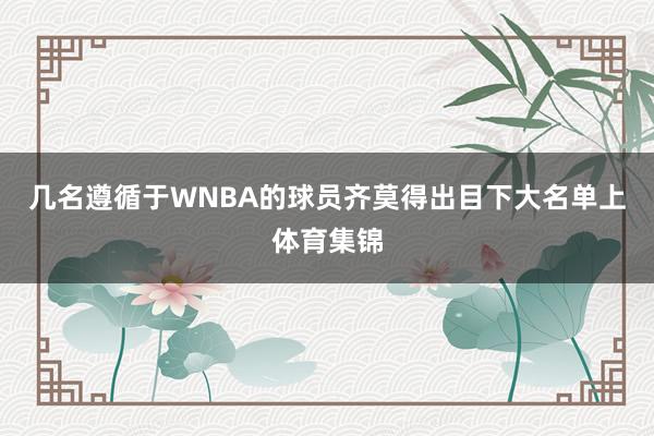 几名遵循于WNBA的球员齐莫得出目下大名单上体育集锦