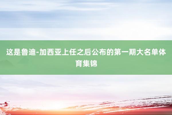 这是鲁迪-加西亚上任之后公布的第一期大名单体育集锦