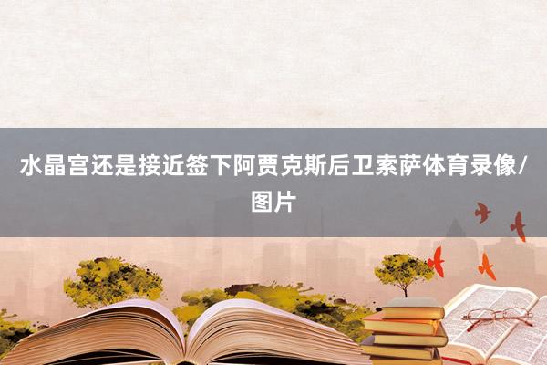 水晶宫还是接近签下阿贾克斯后卫索萨体育录像/图片