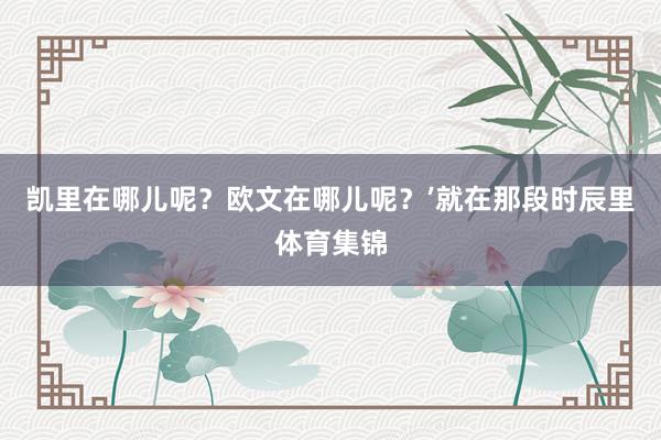 凯里在哪儿呢？欧文在哪儿呢？’就在那段时辰里体育集锦
