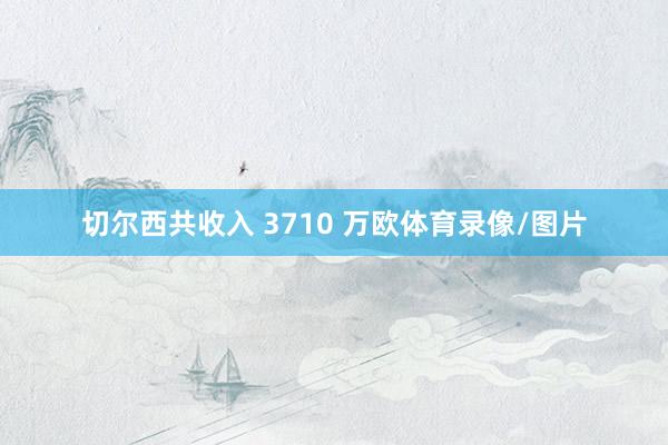 切尔西共收入 3710 万欧体育录像/图片