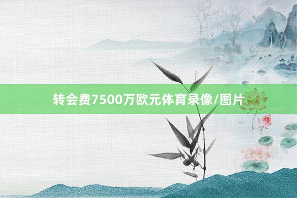 转会费7500万欧元体育录像/图片