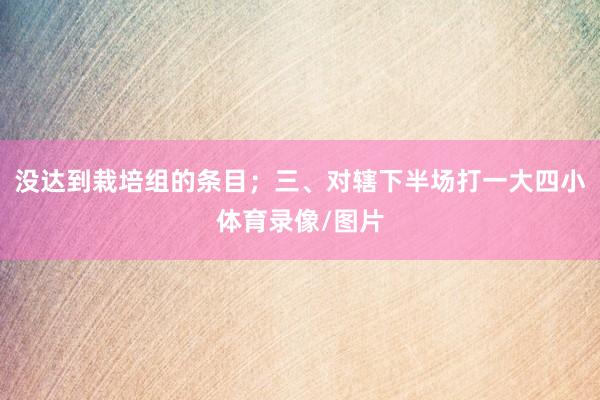 没达到栽培组的条目;三、对辖下半场打一大四小体育录像/图片
