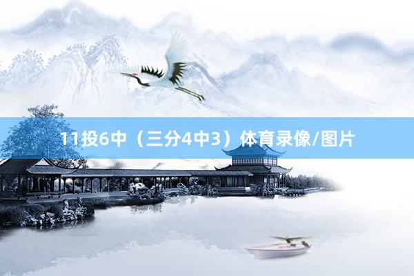 11投6中（三分4中3）体育录像/图片