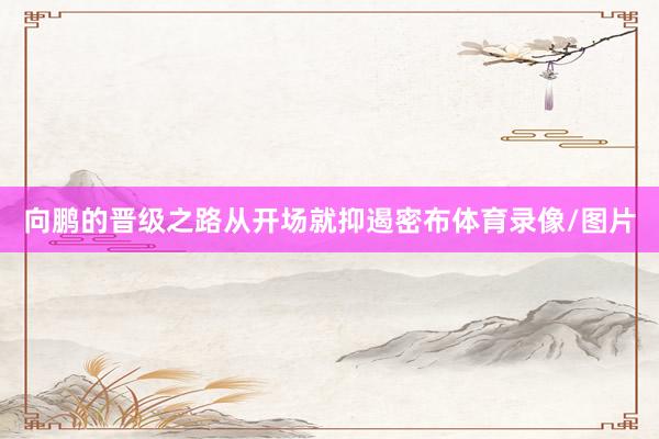 向鹏的晋级之路从开场就抑遏密布体育录像/图片