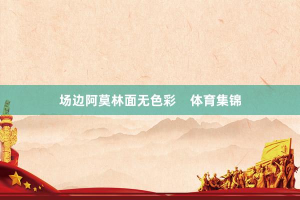 场边阿莫林面无色彩    体育集锦