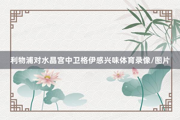 利物浦对水晶宫中卫格伊感兴味体育录像/图片