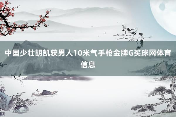 中国少壮胡凯获男人10米气手枪金牌G买球网体育信息
