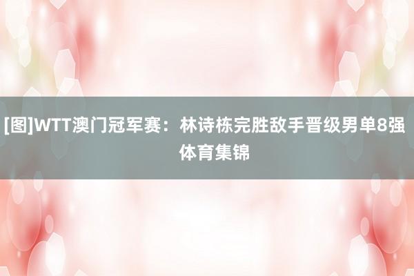 [图]WTT澳门冠军赛：林诗栋完胜敌手晋级男单8强    体育集锦